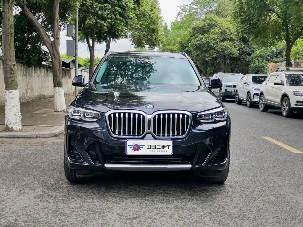 BMW X3 — миниатюра 2