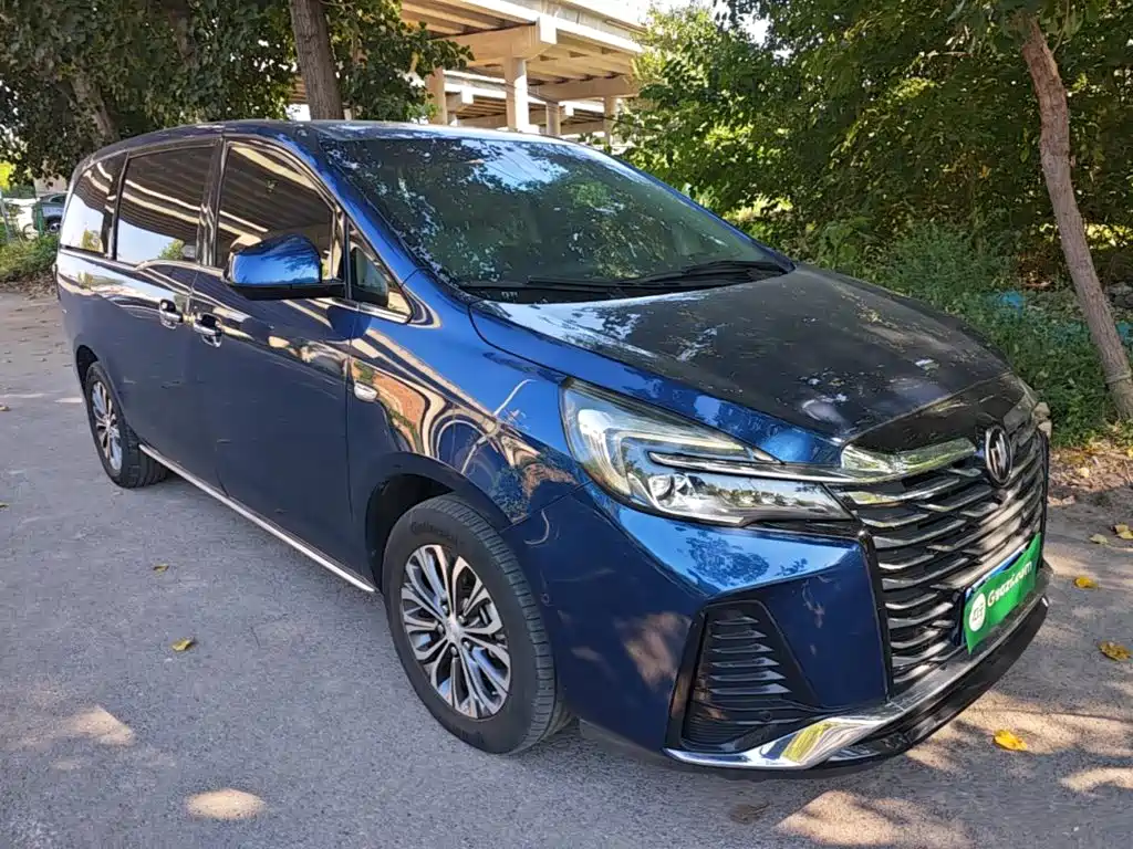 Buick GL8 — миниатюра 4