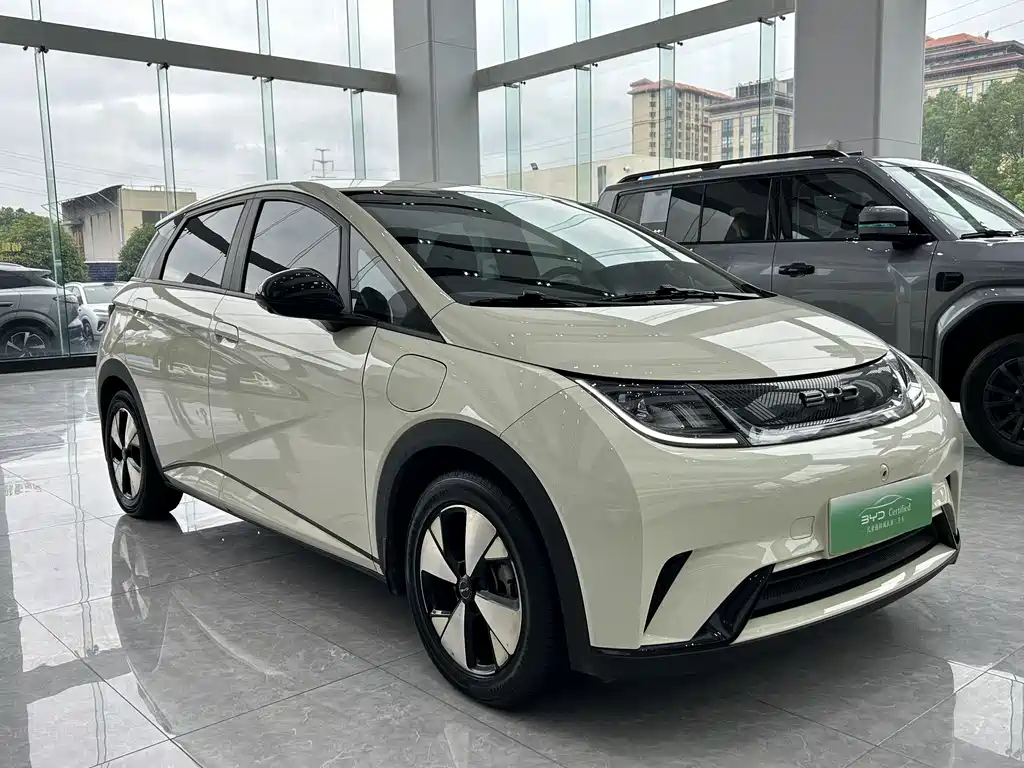 BYD Dolphin — миниатюра 3