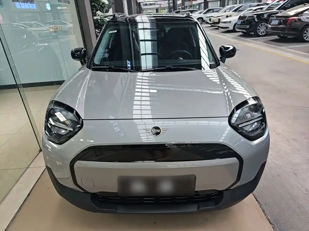 MINI MINI ACEMAN EV — миниатюра 3