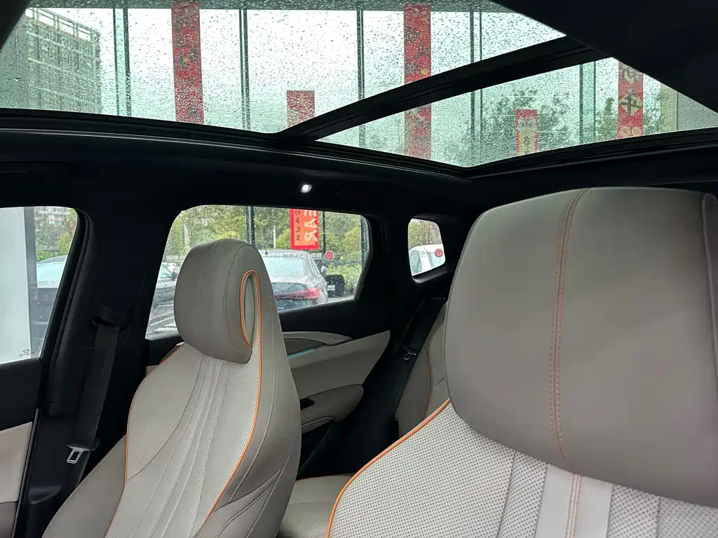 BYD Pro New Energy — миниатюра 18