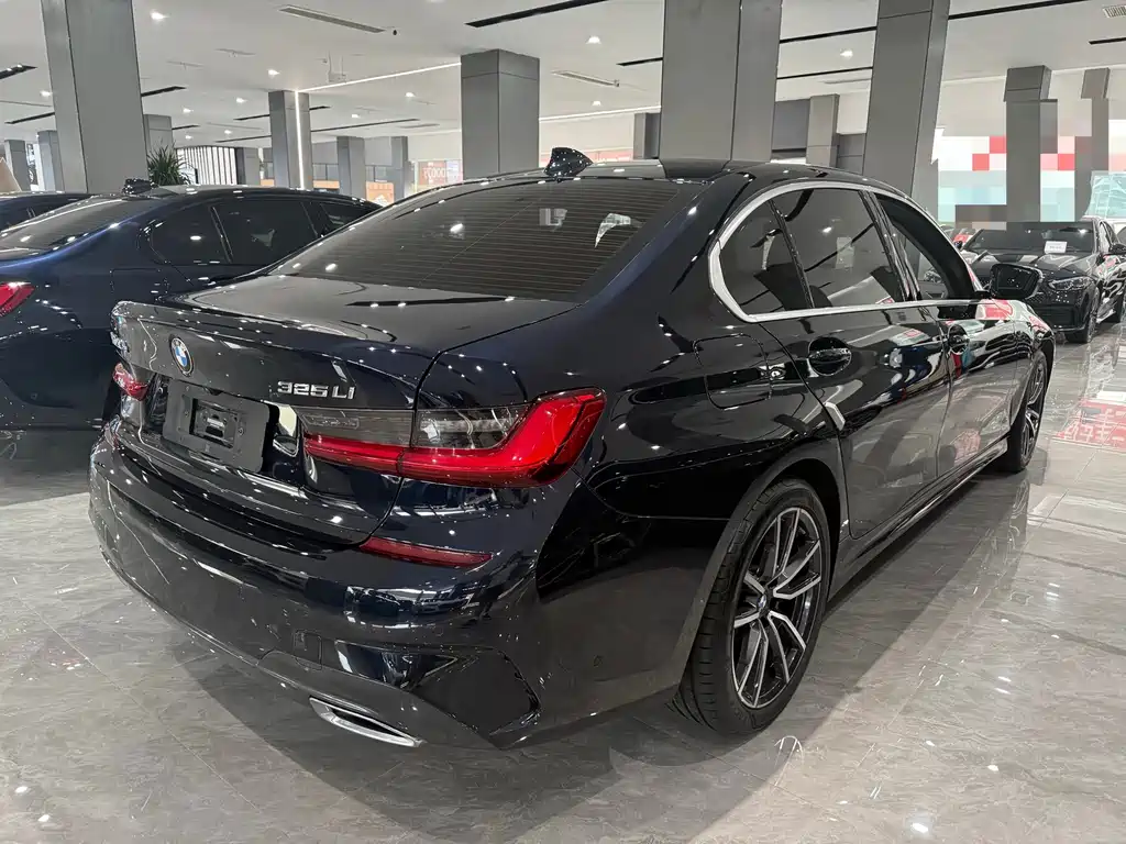 BMW 3 Series — миниатюра 8
