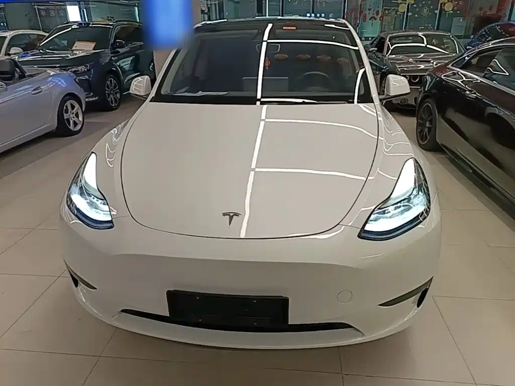 Tesla Model Y — миниатюра 3