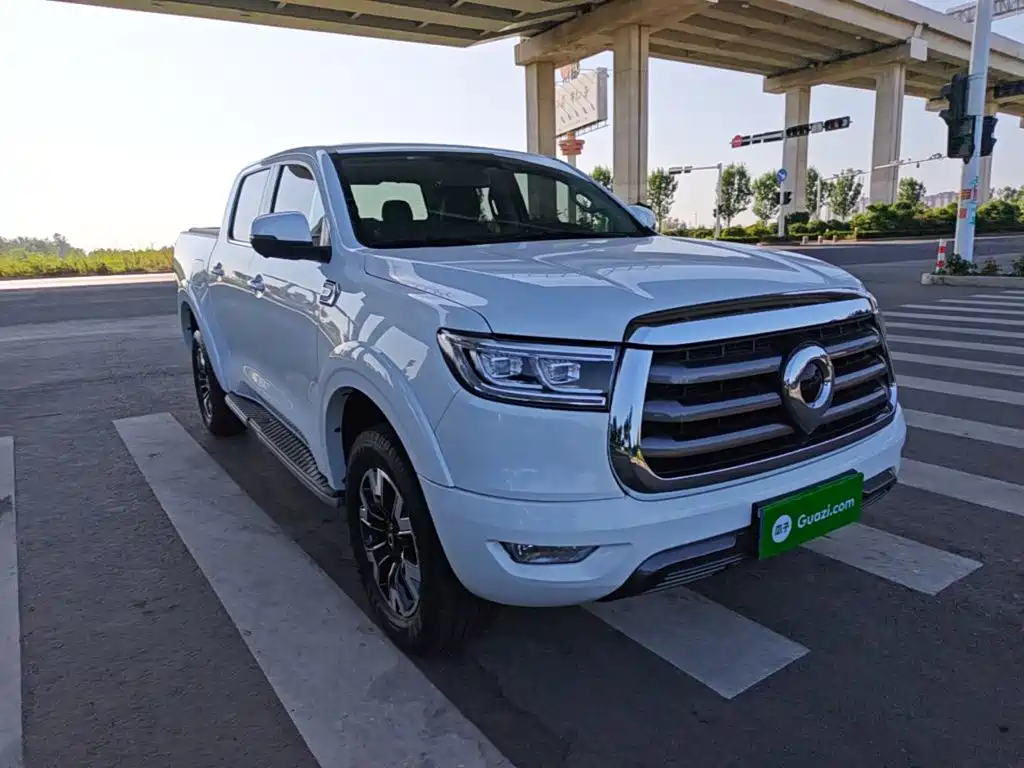Great Wall Pao — миниатюра 4