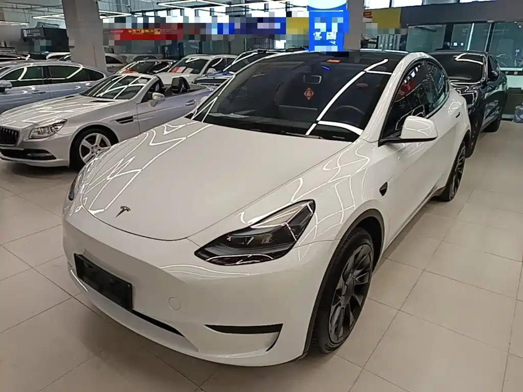 Tesla Model Y — миниатюра 2