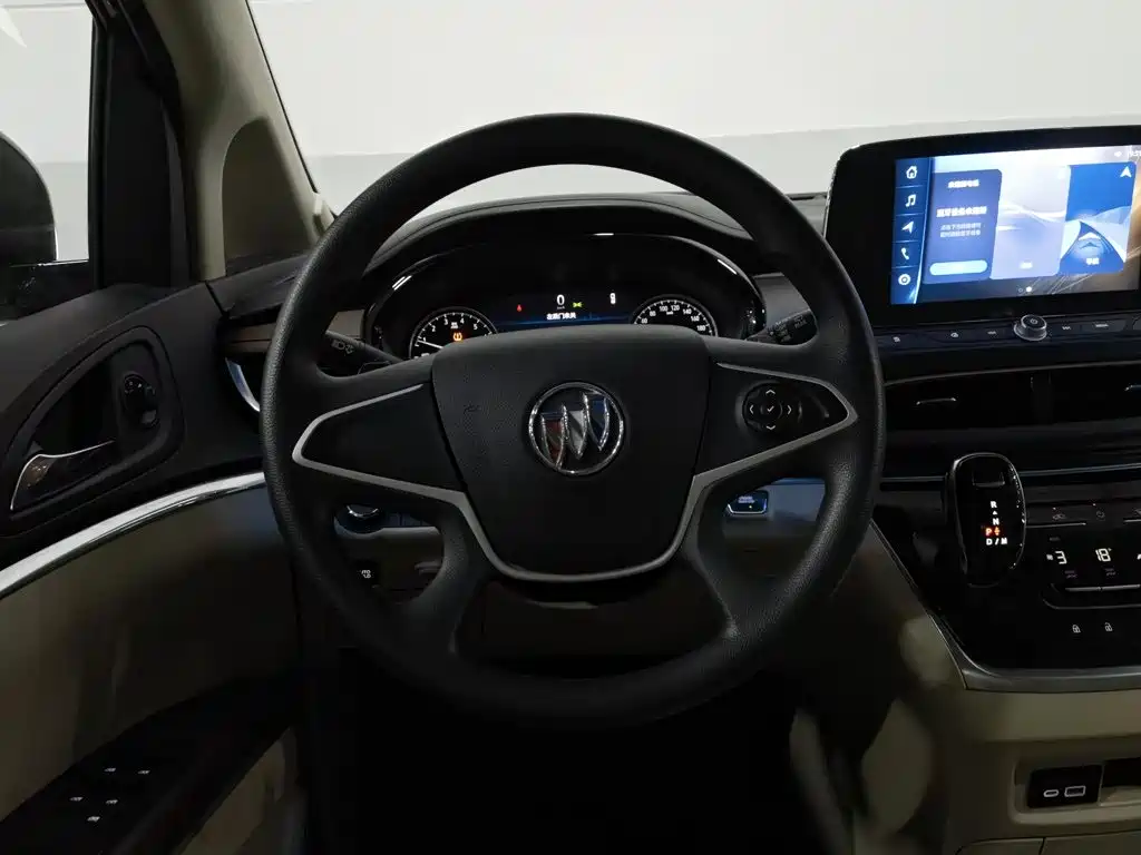 Buick GL8 — миниатюра 11