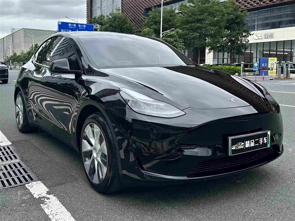 Tesla Model Y — миниатюра 3