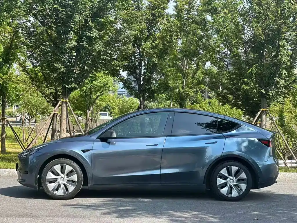 Tesla Model Y — миниатюра 4