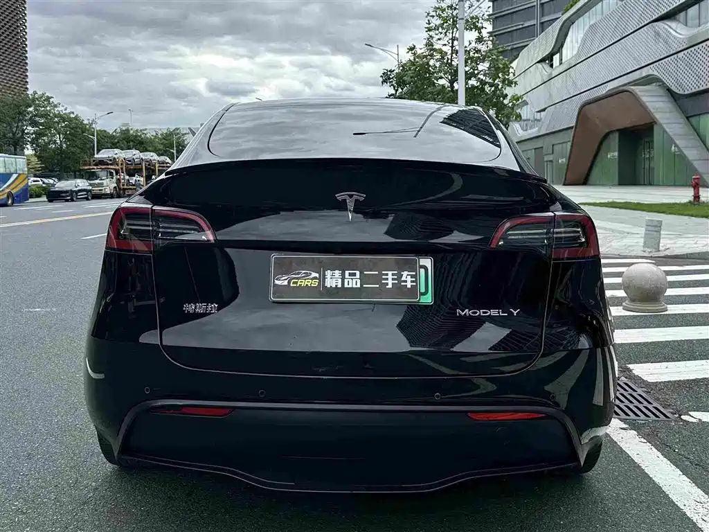 Tesla Model Y — миниатюра 8