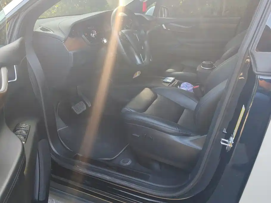 Tesla Model X — миниатюра 9