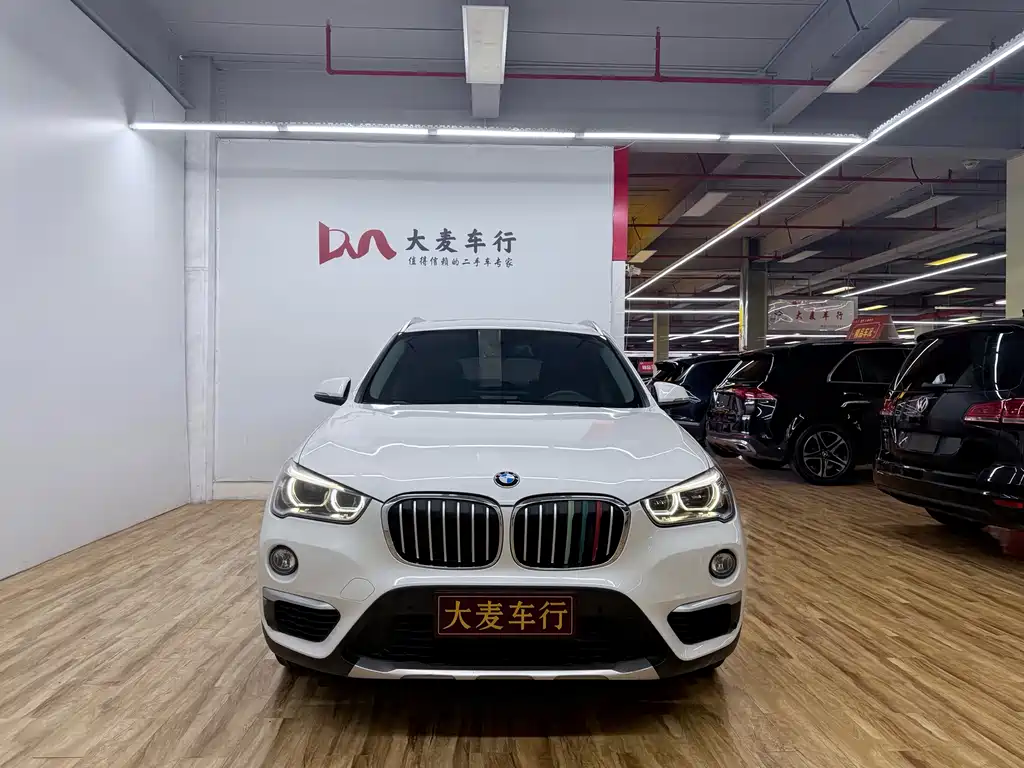 BMW X1 — миниатюра 2
