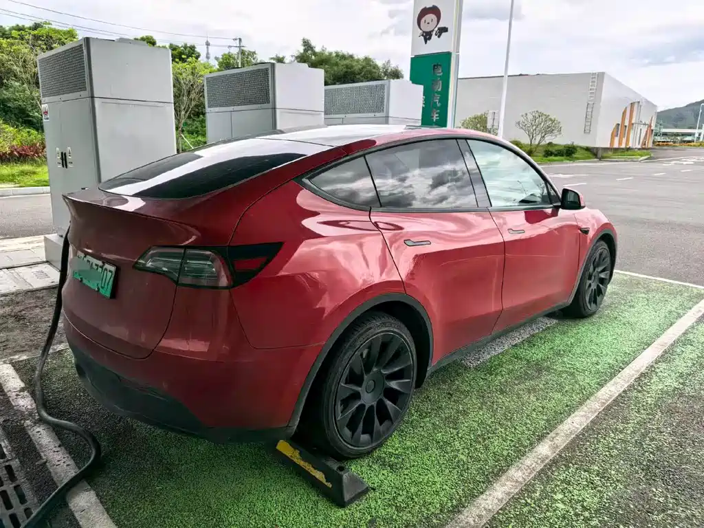 Tesla Model Y — миниатюра 2