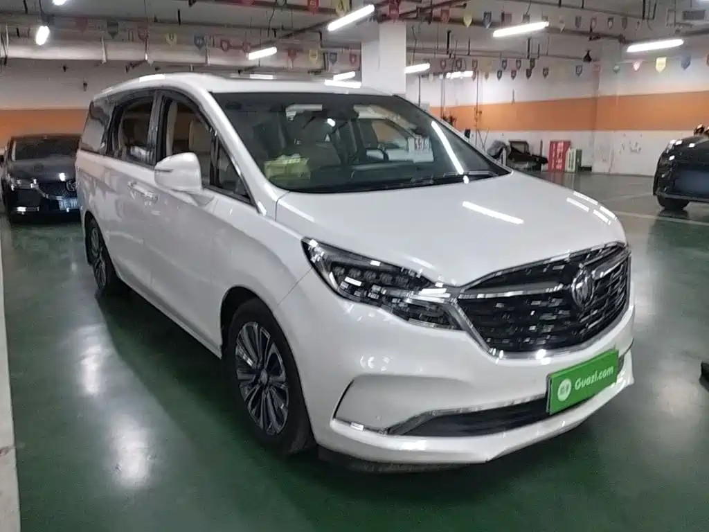 Buick GL8 — миниатюра 4