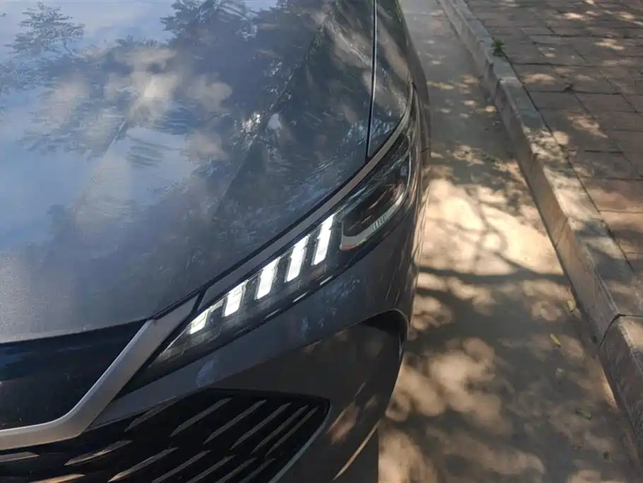 BYD Qin Plus PLUS 2025 DM-i Smart Drive 55KM Lead