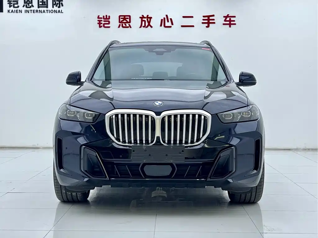 BMW X5 — миниатюра 2
