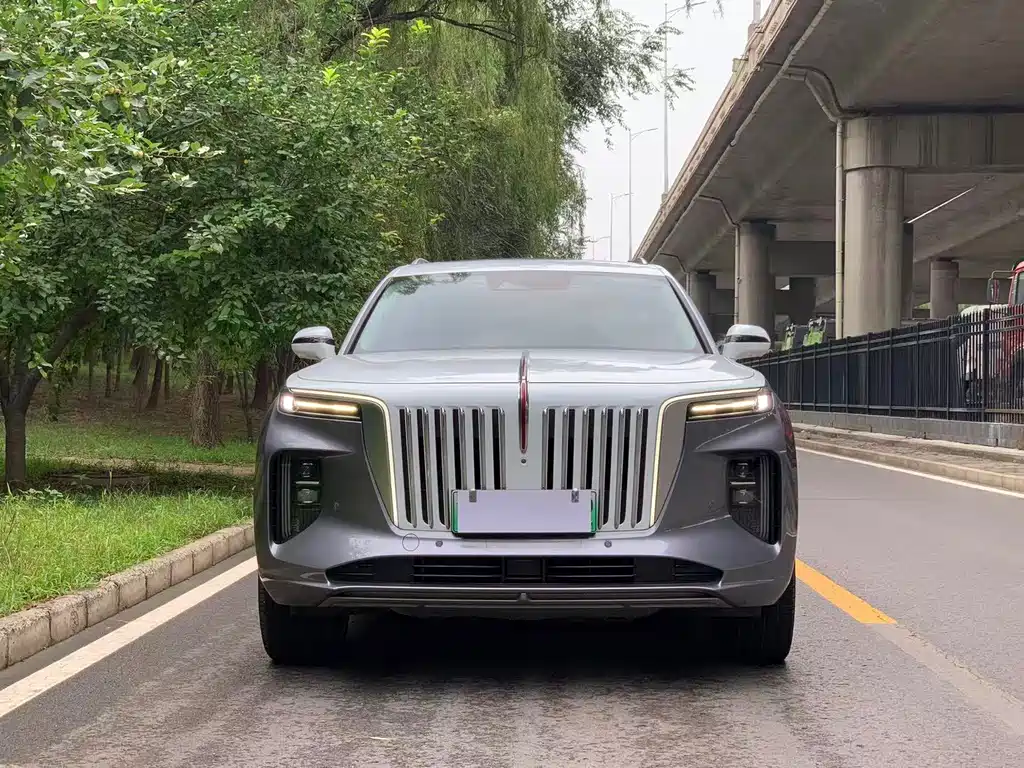 Hongqi Hongqi E-HS9 — миниатюра 2