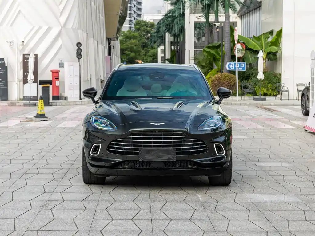 Aston Martin DBX — миниатюра 2