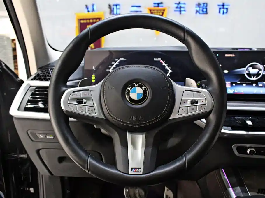 BMW X5 — миниатюра 6