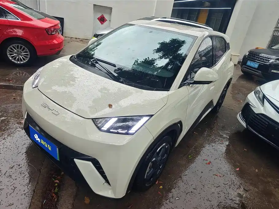 Byd Seagull 2024