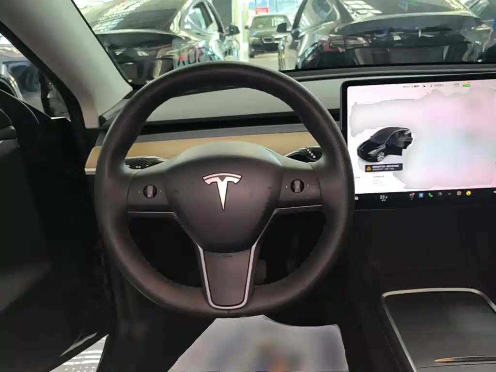 Tesla Model Y — миниатюра 11