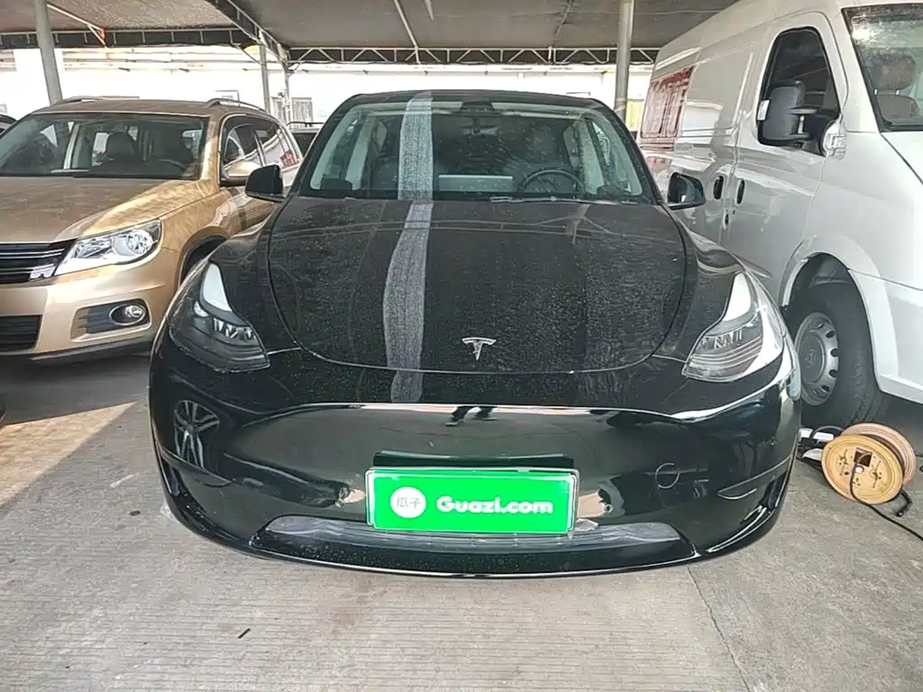 Tesla Model Y — миниатюра 3