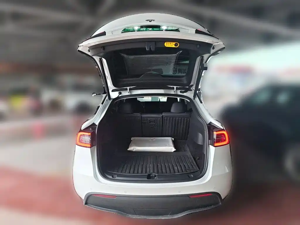 Tesla Model Y — миниатюра 20