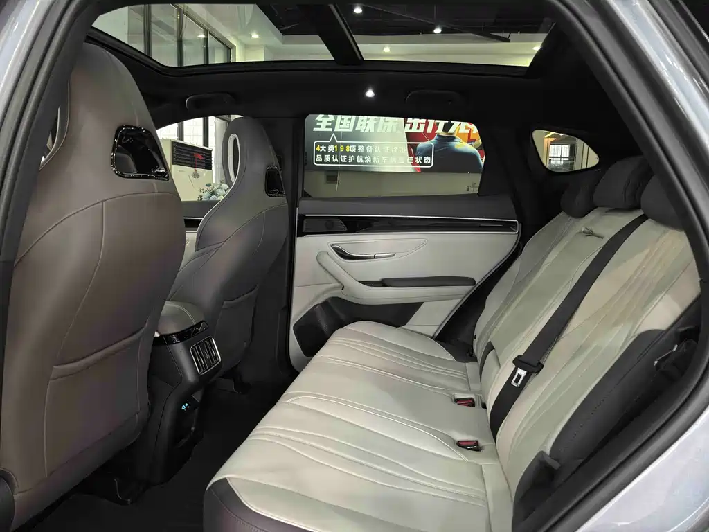BYD PLUS New Energy — миниатюра 23