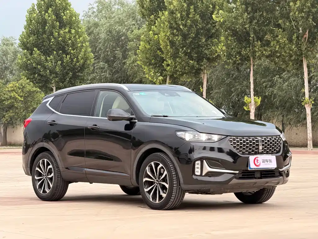 Wey Wey VV6 — миниатюра 3