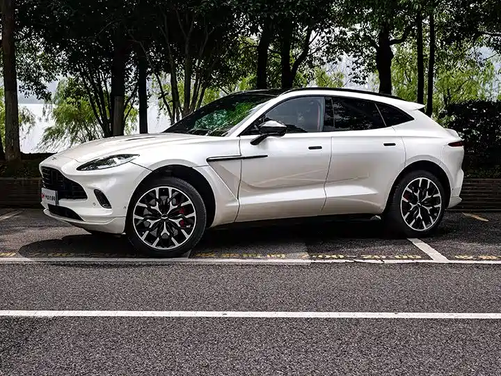 Aston Martin DBX 2020 4.0T V8 1913