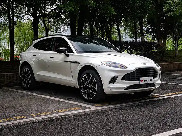 Aston Martin DBX 2020 4.0T V8 1913