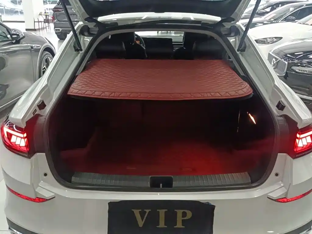 Volkswagen Lamando — миниатюра 19