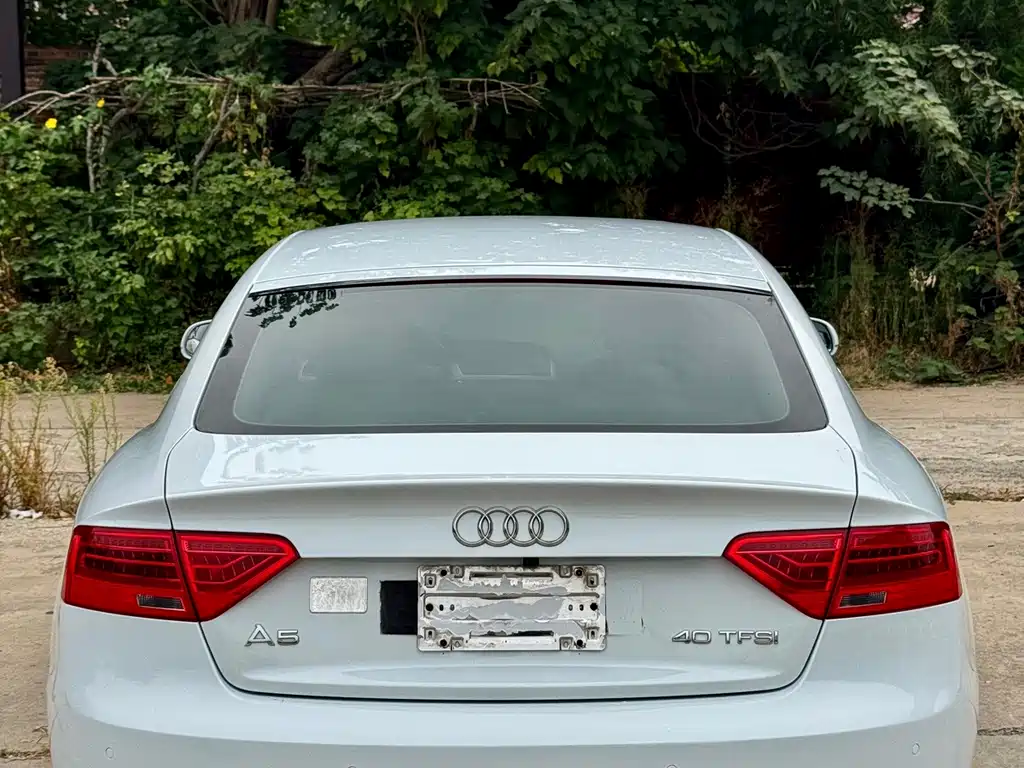 Audi A5 (Import) — миниатюра 3