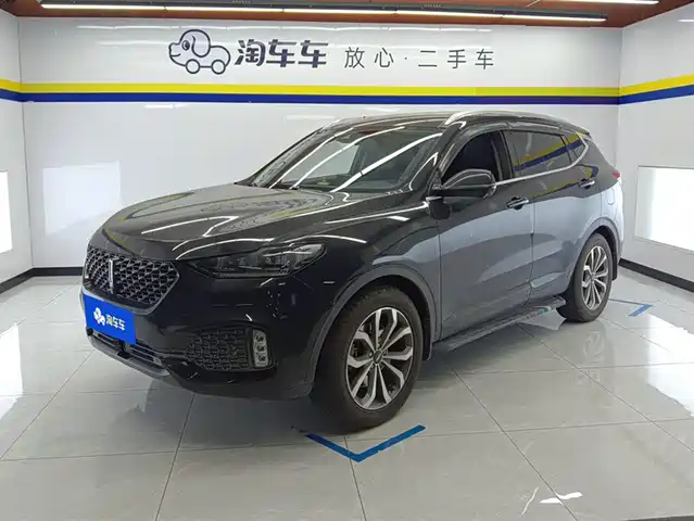 2020 Wey VV6