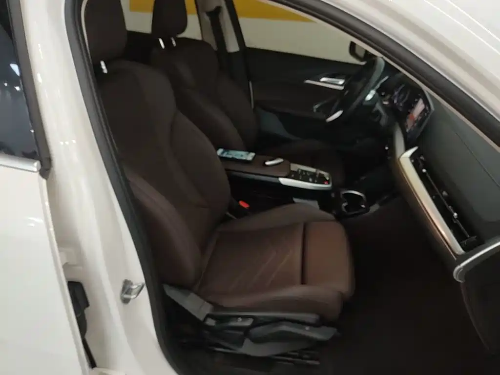 BMW X2 (Import) — миниатюра 25
