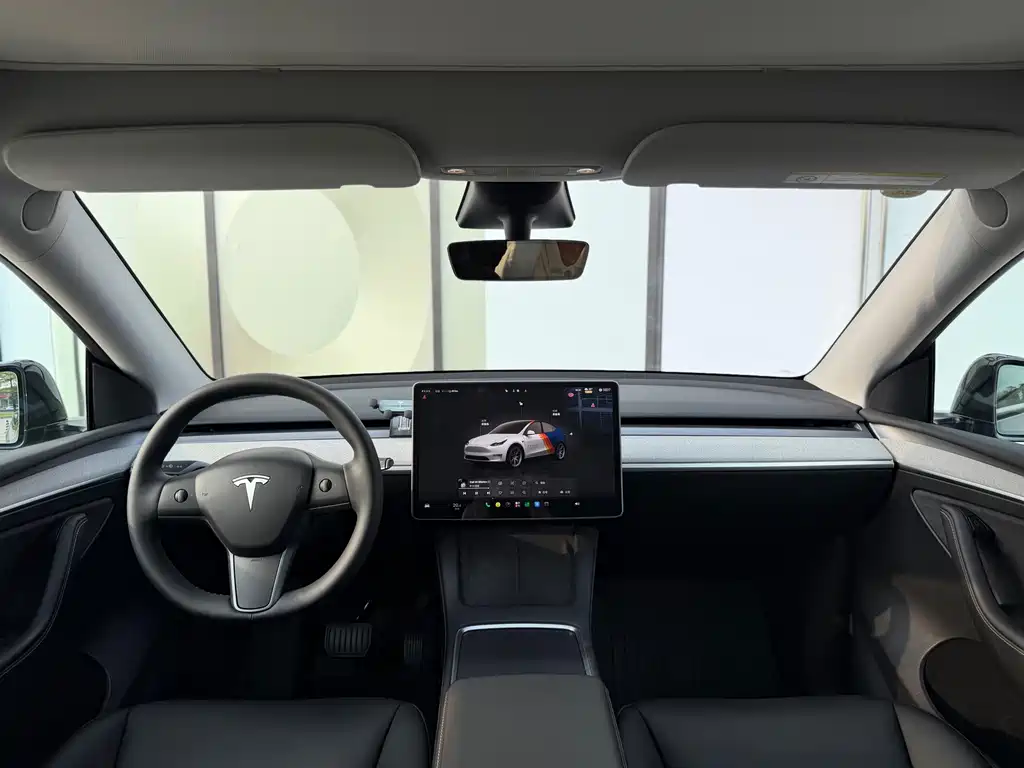 Tesla Model Y — миниатюра 7