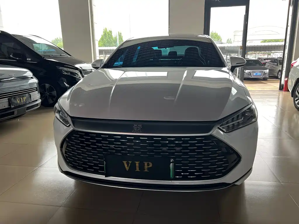 BYD Qin Plus PLUS 2021 DM-i 55KM Flagship