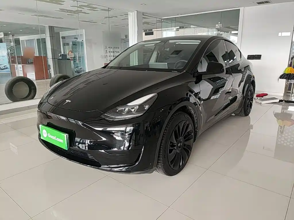 Tesla Model Y — миниатюра 2