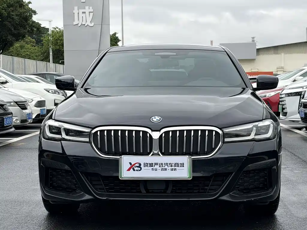BMW 5 Series New Energy — миниатюра 2