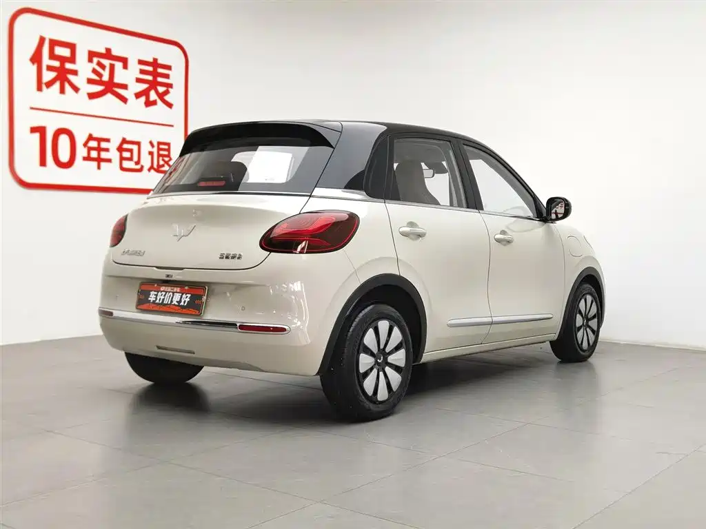 Wuling Binguo 2023 410km Premium