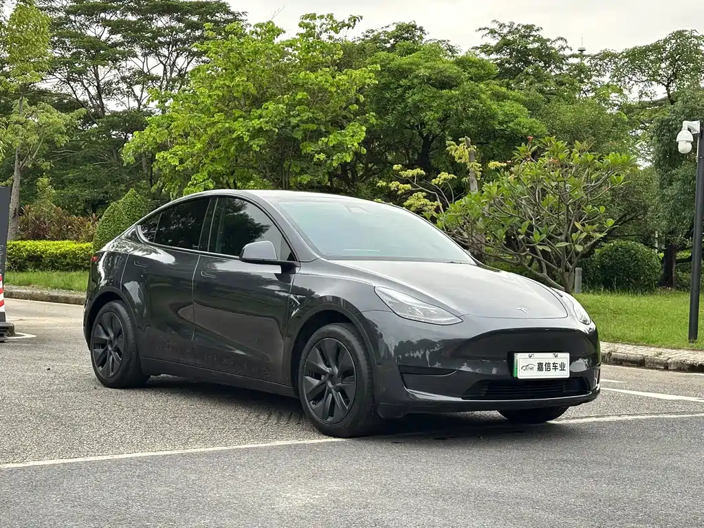 Tesla Model Y — миниатюра 3