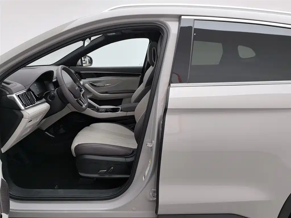 BYD SONGJIANG NEW ENERGY