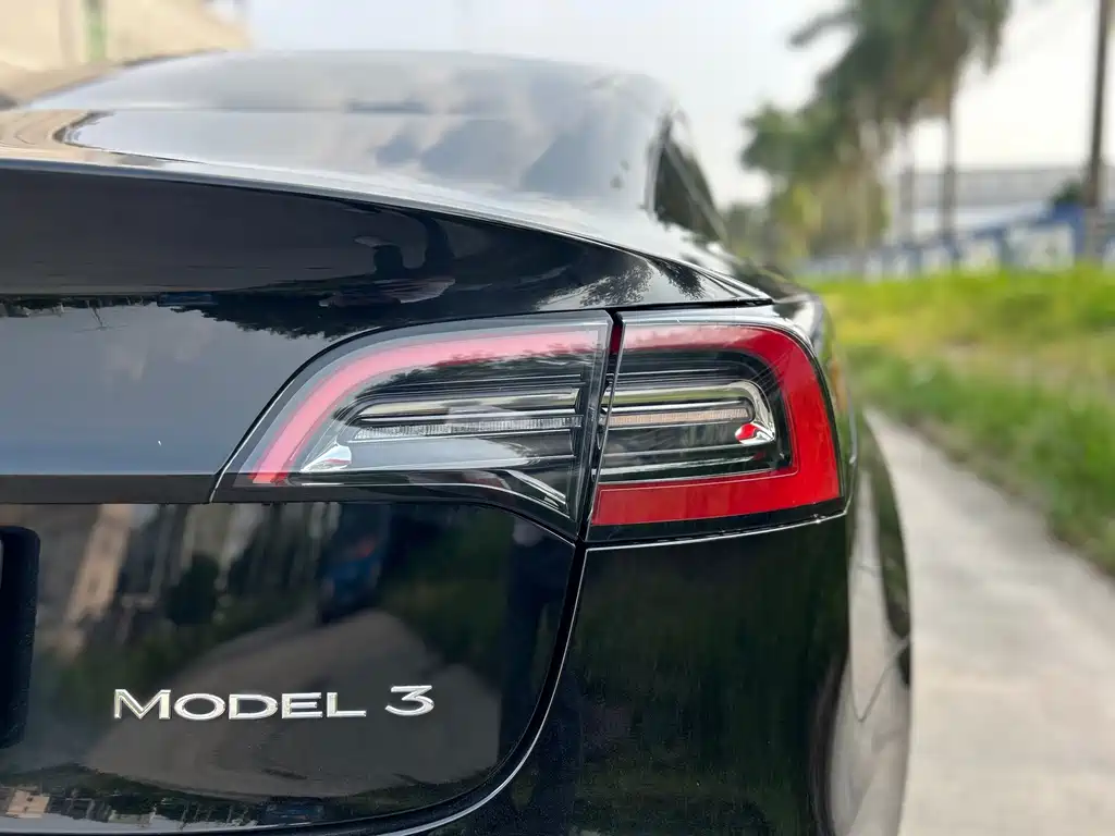 Tesla Model 3 — миниатюра 22