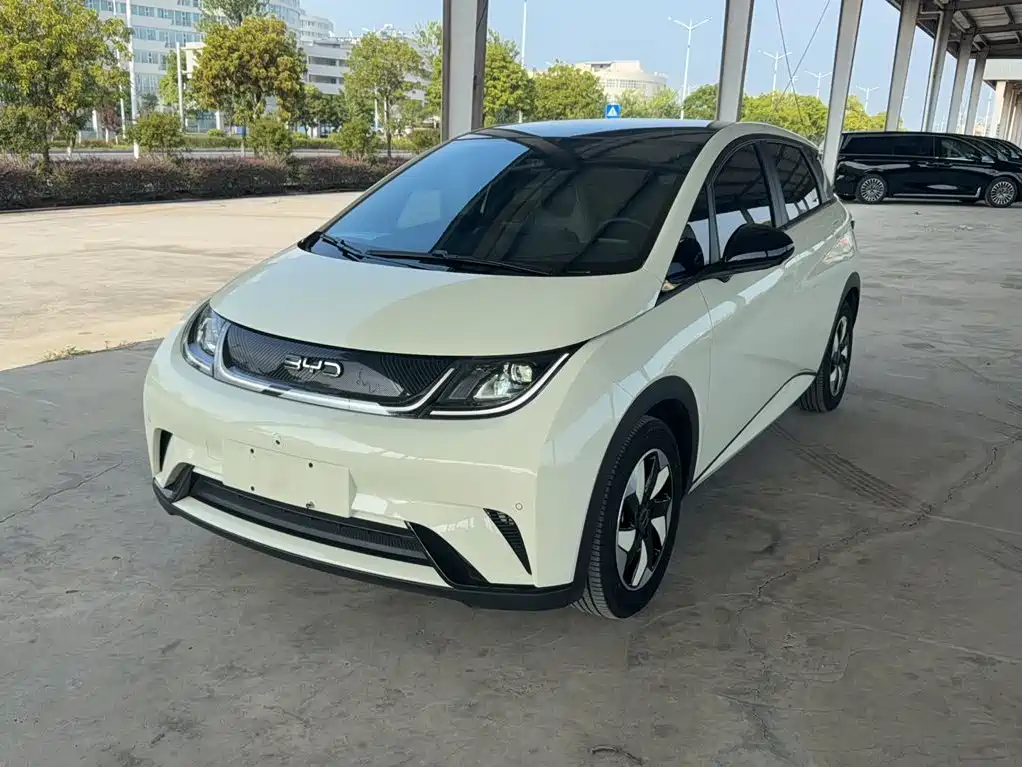 BYD Dolphin — миниатюра 2
