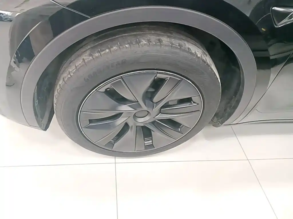 Tesla Model Y — миниатюра 23