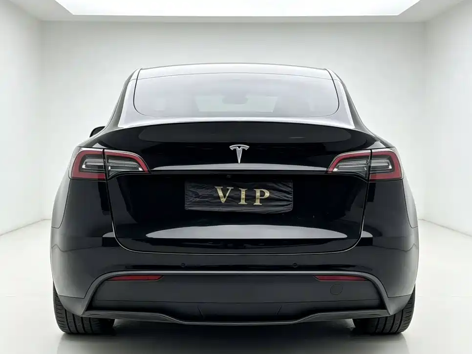 Tesla Model Y — миниатюра 8