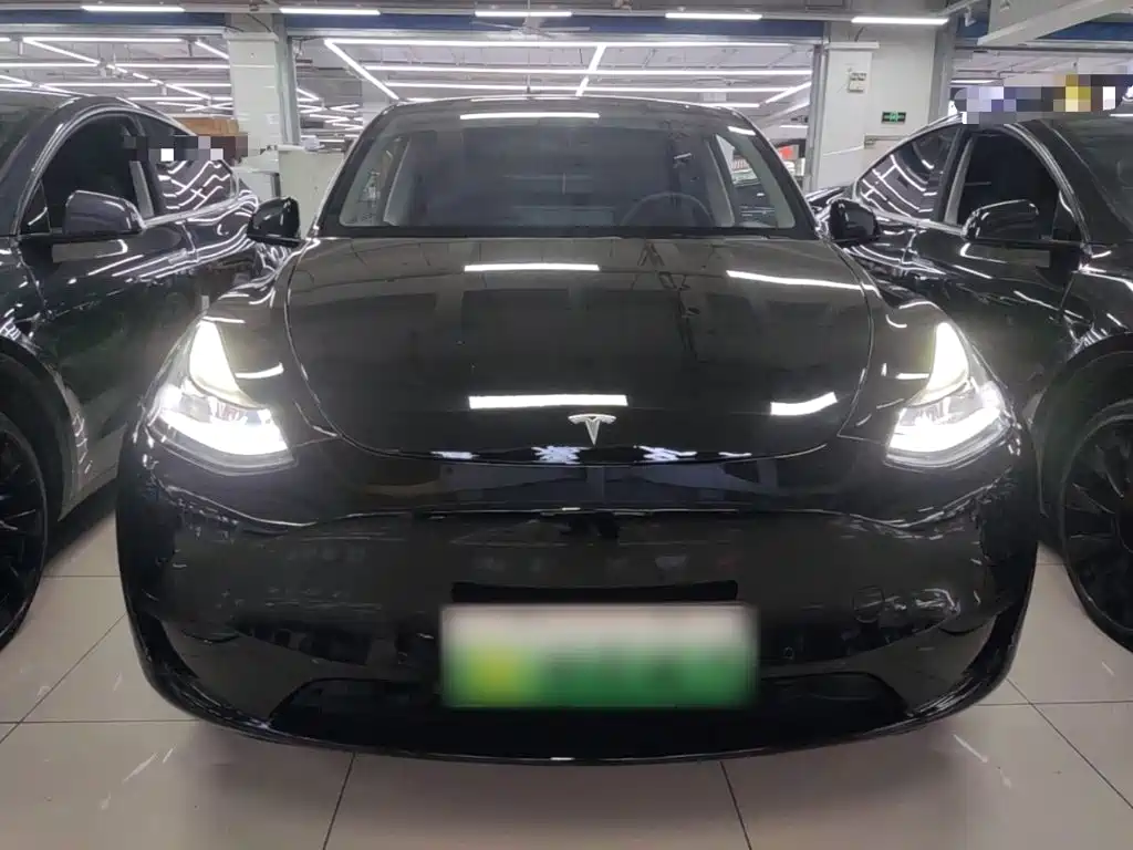 Tesla Model Y — миниатюра 3