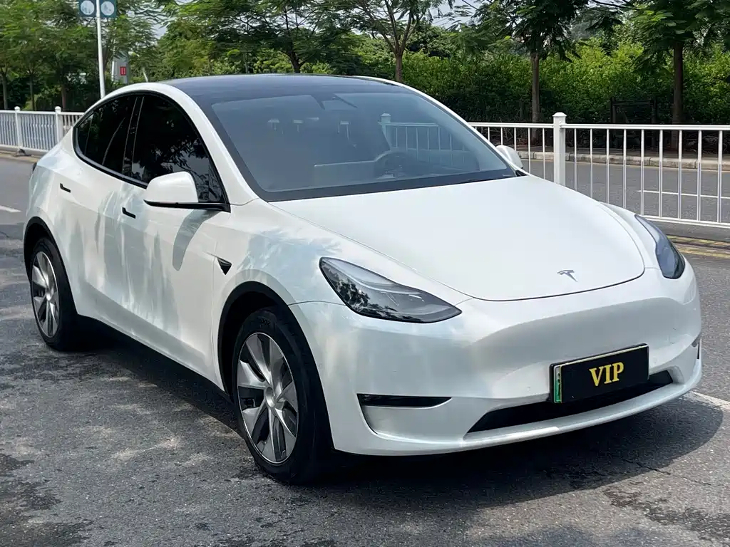 Tesla Model Y — миниатюра 3