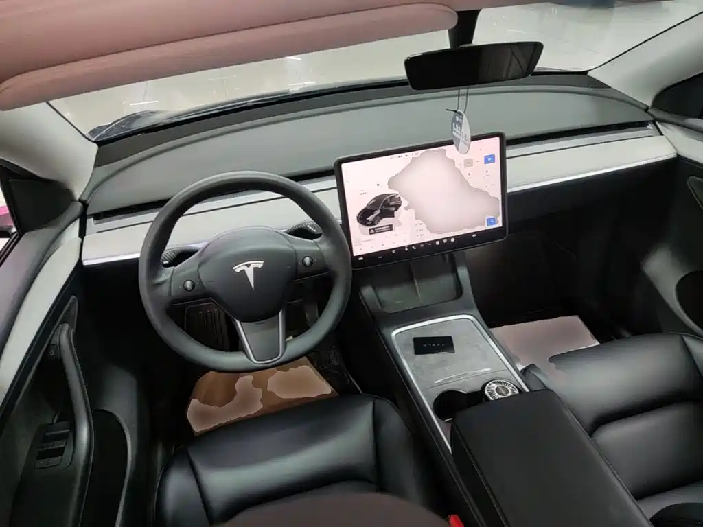 Tesla Model Y — миниатюра 10