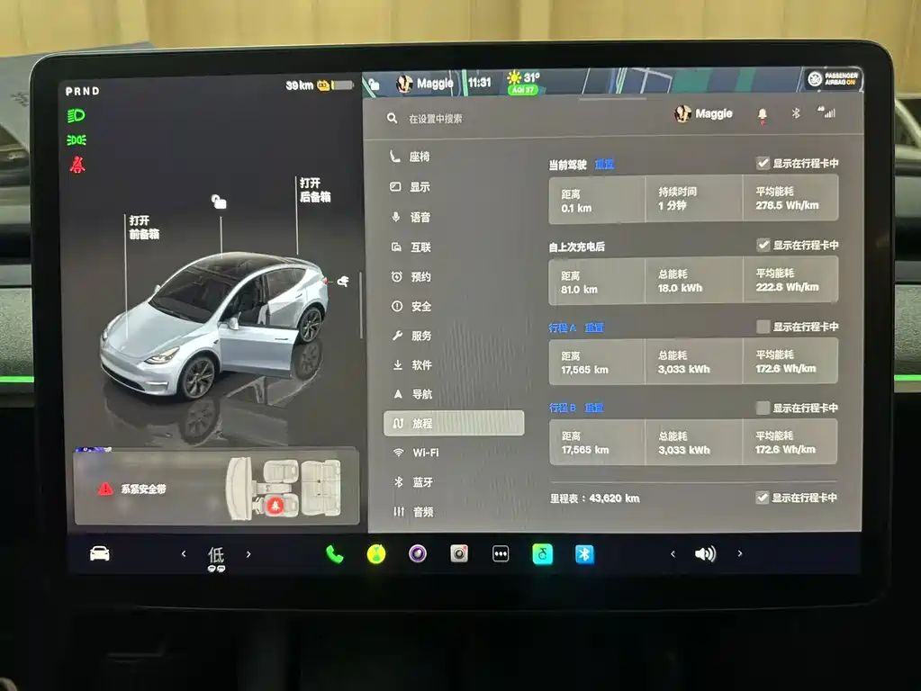 Tesla Model Y — миниатюра 12
