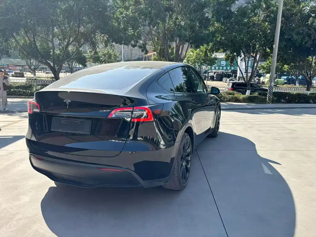 Tesla Model Y — миниатюра 5